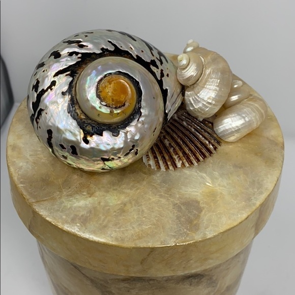 Capiz Shell Cylindar Box w/ Top w/ Large Shells - Picture 4 of 7